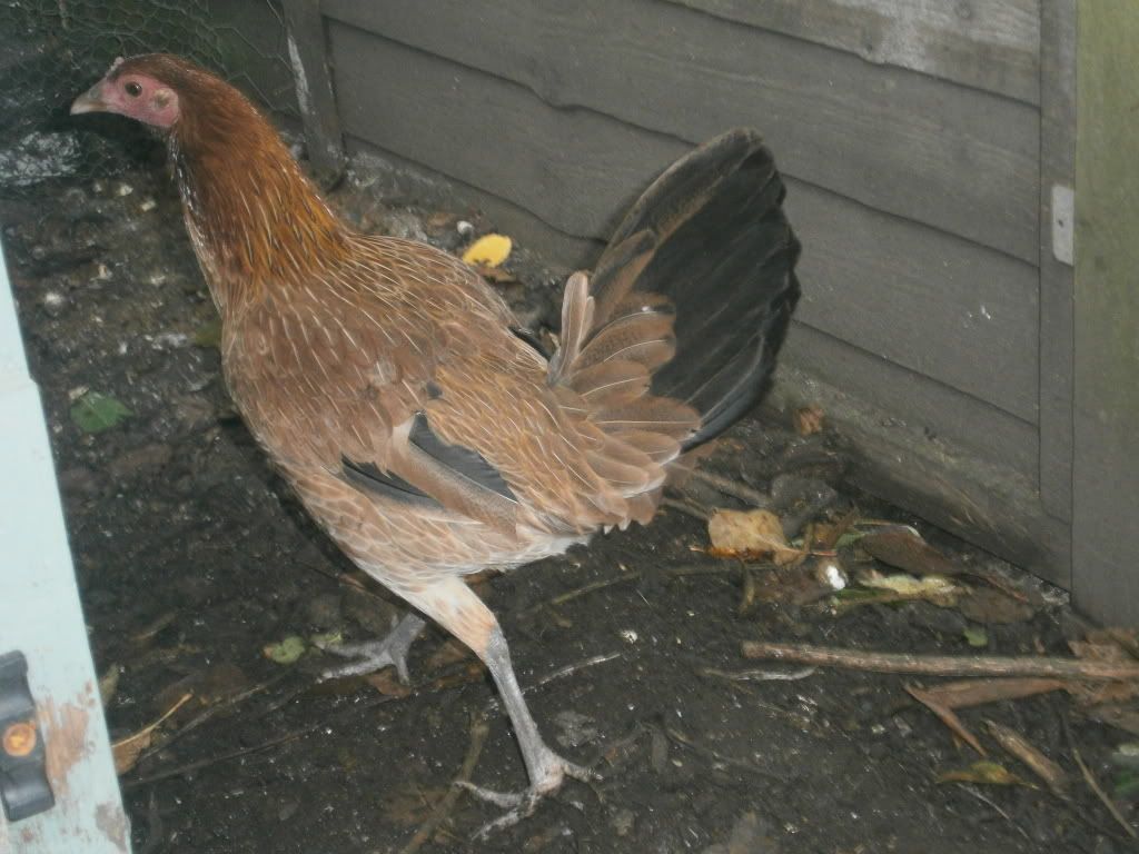 PB200069.jpg