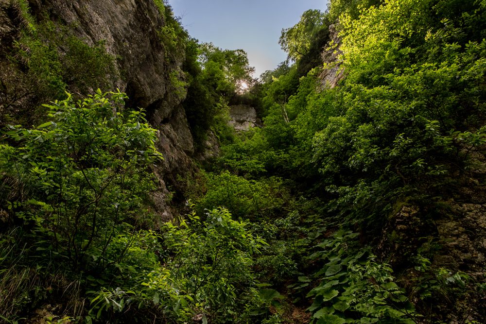 Большой маршрут. Кавказ. Гуамское ущелье photo IMG_0733.jpg