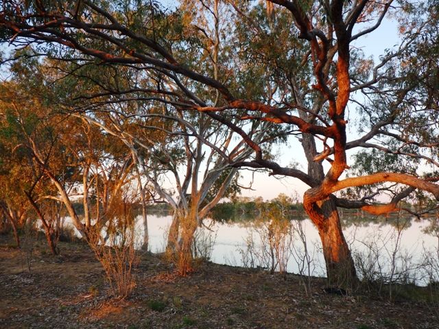  photo P1080456_zpsed085fa5.jpg
