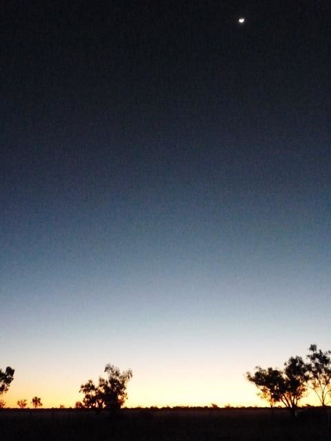  photo P1080476_zps426b66fa.jpg