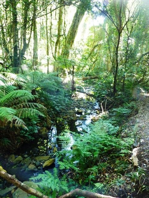  photo P1070188_zps150df757.jpg