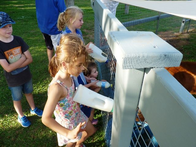 photo P1090732_zpse96ba928.jpg