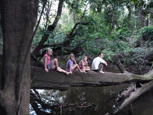  photo P1070986_zps288f4215.jpg