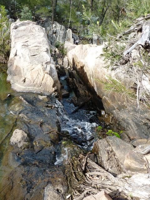  photo P1080039_zps261ab406.jpg