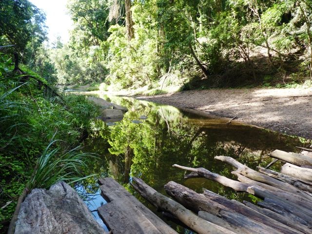  photo P1080080_zps58b74377.jpg