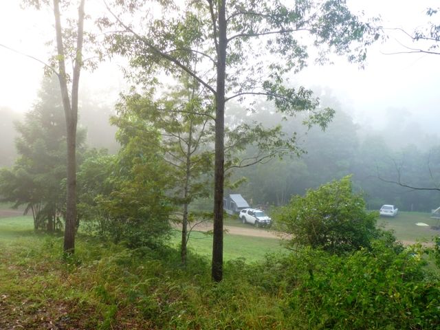  photo P1080105_zpsc58605f2.jpg
