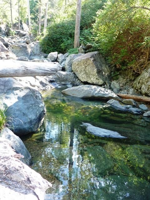  photo
P1070882_zps3e9cd224.jpg