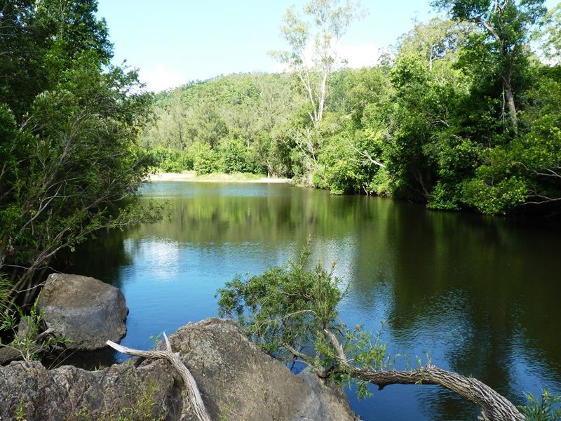  photo P1100167_zpsnmlgm694.jpg