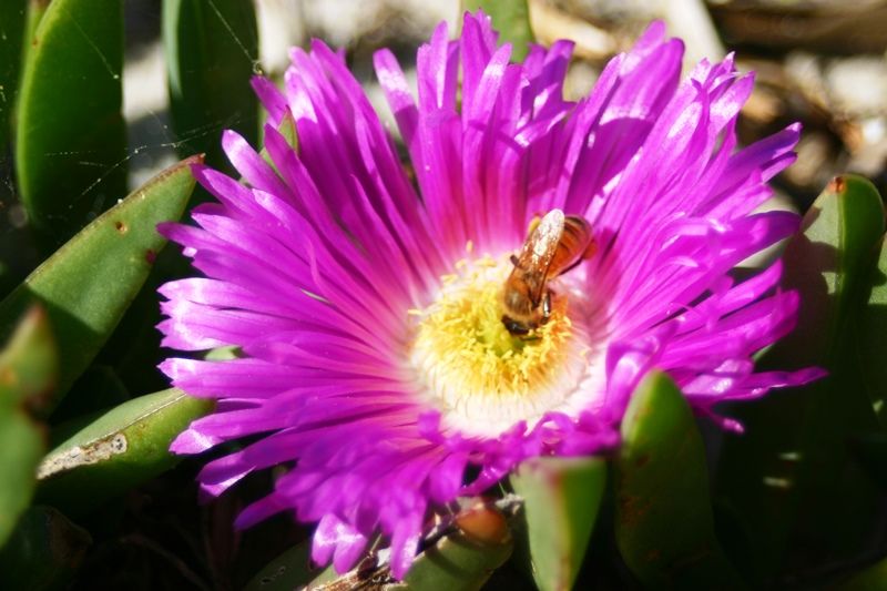 photo IMG_4335_zpsp9bpxy7i.jpg