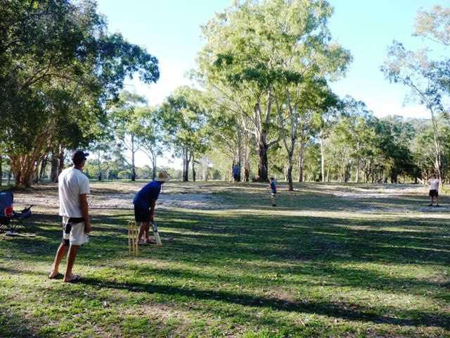  photo P1060393_zps55123aa3.jpg