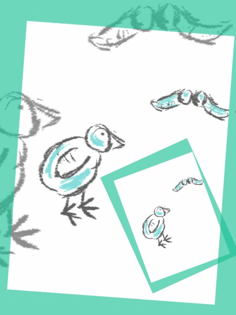 bird