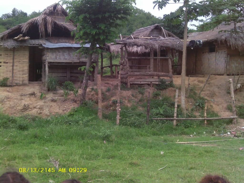 Am Finally home,  pictures to come - Poultry