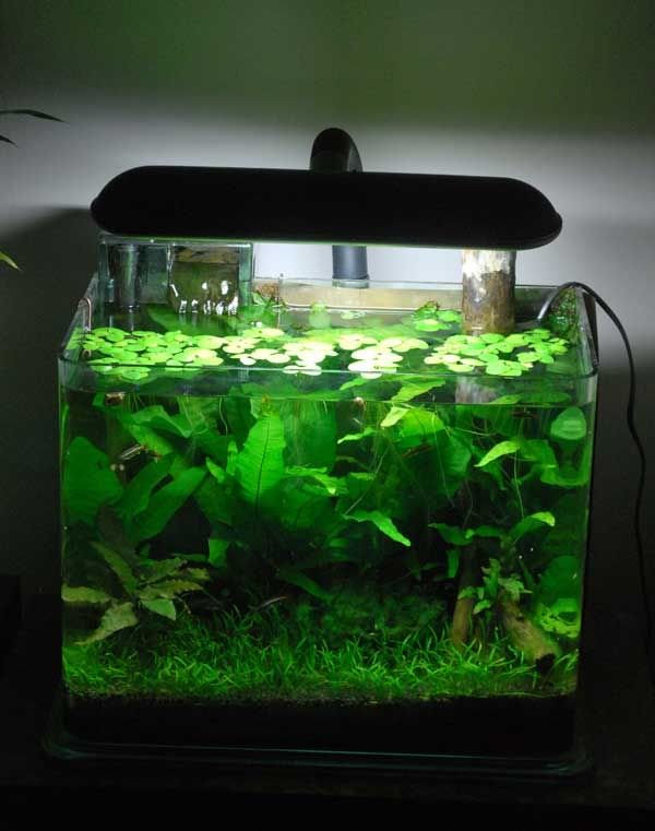 tank2_002w.jpg
