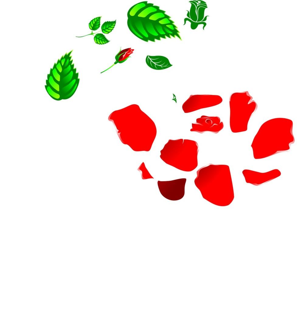 canhhoahong1.jpg