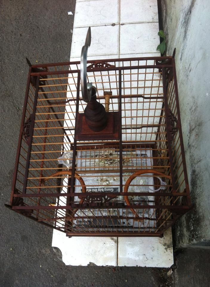 Giao lưu 2 Lồng Chào Mào 72+64 nan lấy lồng vuông 19 hoặc 17 nan