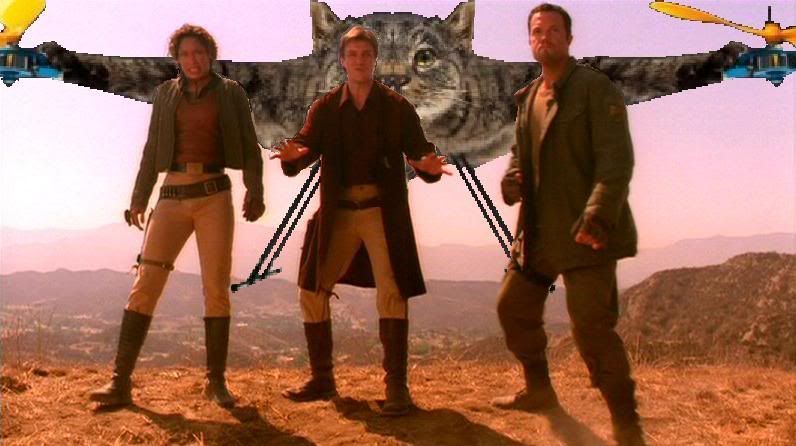 Helicatfly.jpg