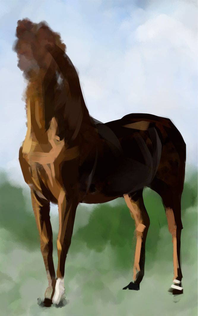 [Image: Horse-study.jpg]