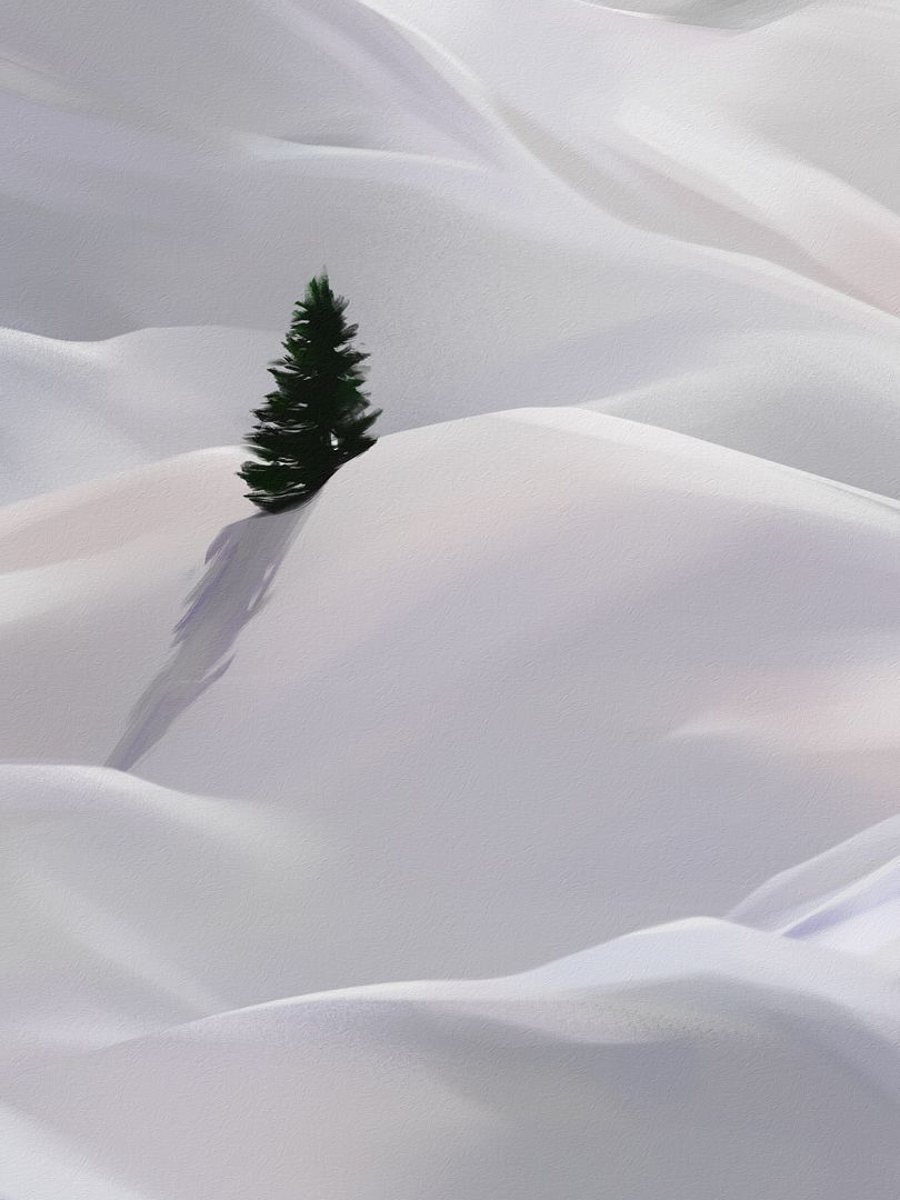 [Image: Snowy-Tree-Study.jpg]