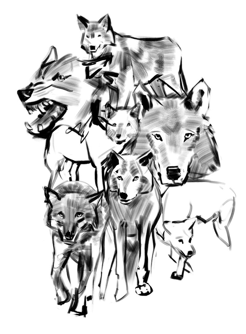 [Image: Wolf-Studies.jpg]