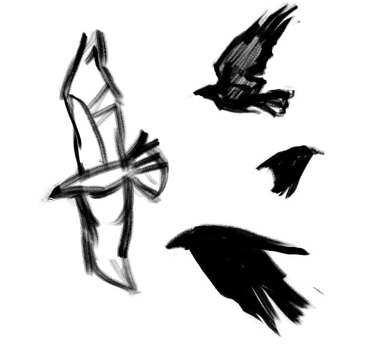 [Image: crow-studies.jpg]