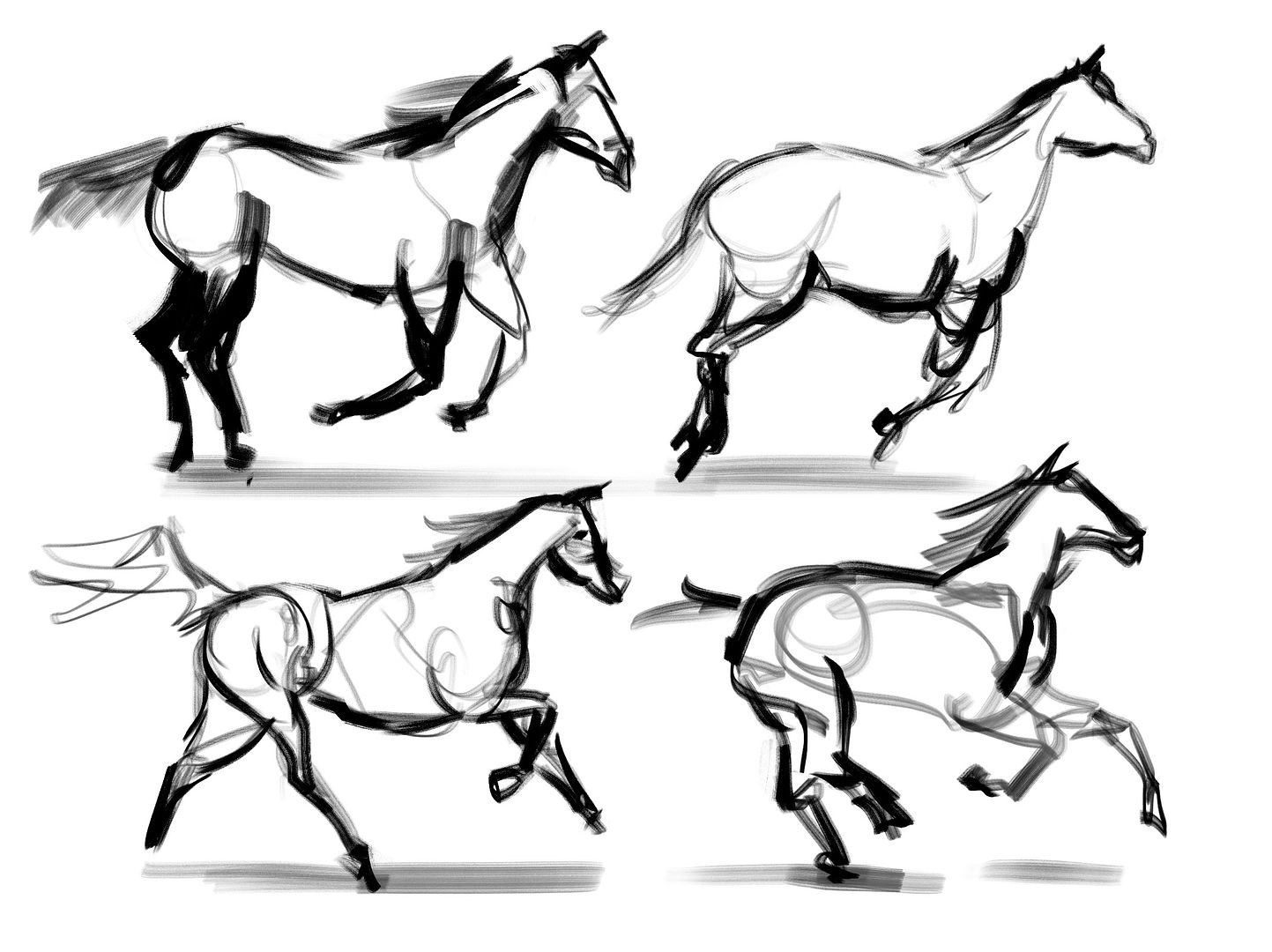 [Image: horse-studies.jpg]