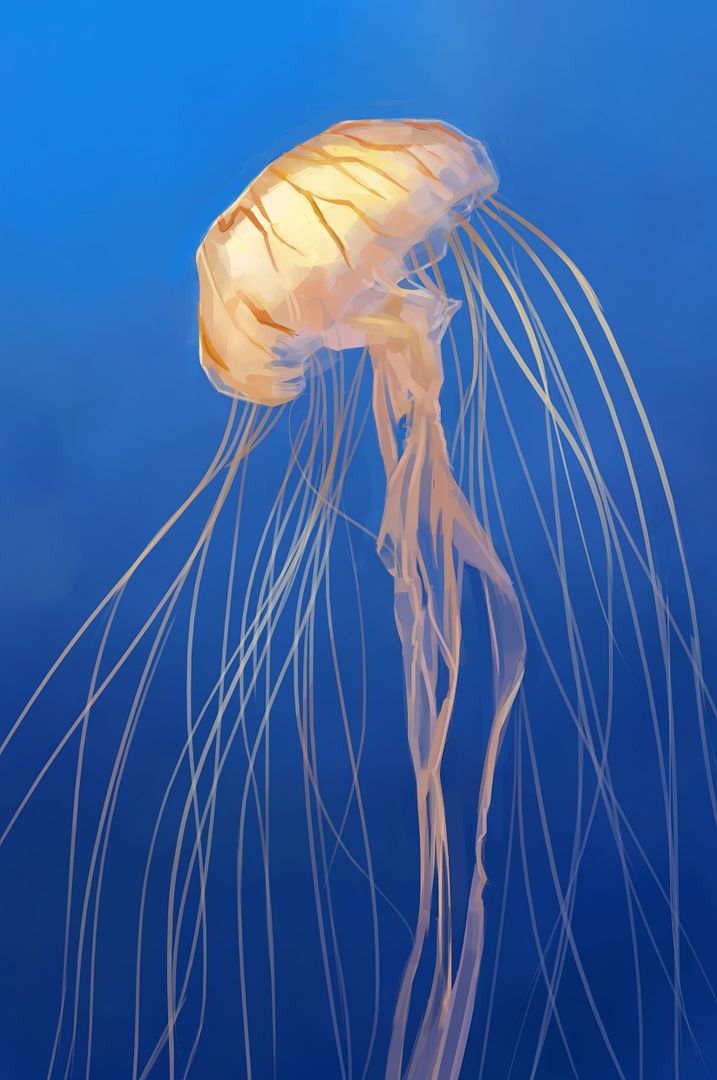 [Image: jellyfish-study.jpg]