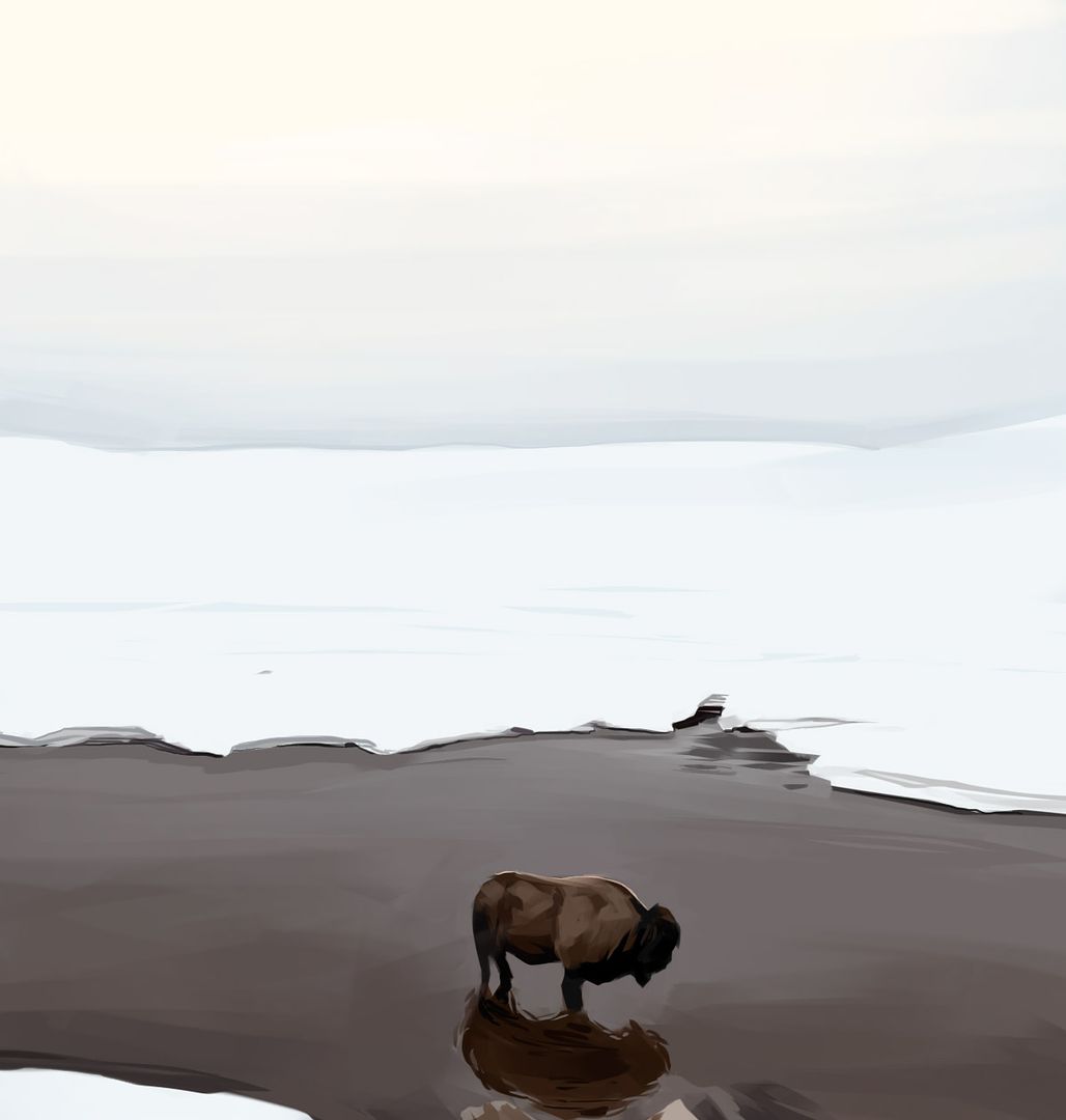 [Image: snowy-buffalo.jpg]