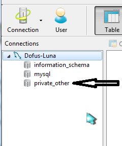 Crear Server Privado Dofus Tutorial
