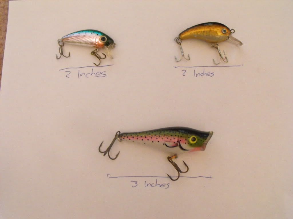 Can I Catch Fish With These Lures? (Pictures) - Alberta