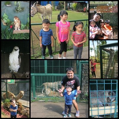  photo TagaytayResidenceInnZoo_zps33e83e4d.jpg