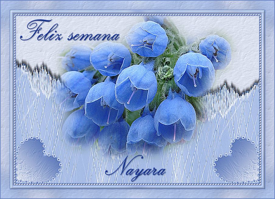  photo NayaraFLO_zps3ac2d271.jpg