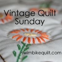 Swim Bike Quilt