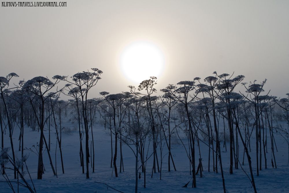 photo 10FrostSmog.jpg