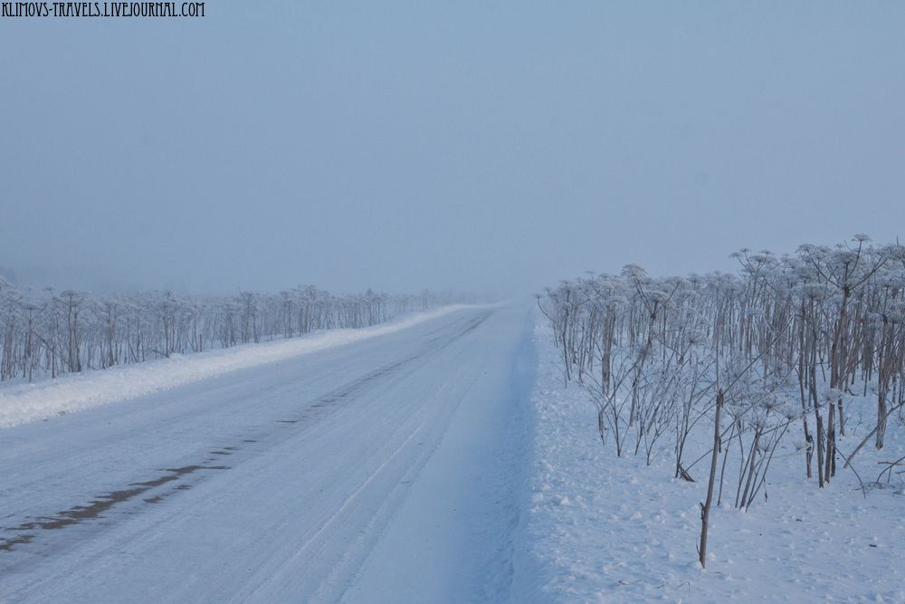 photo 2FrostSmog.jpg