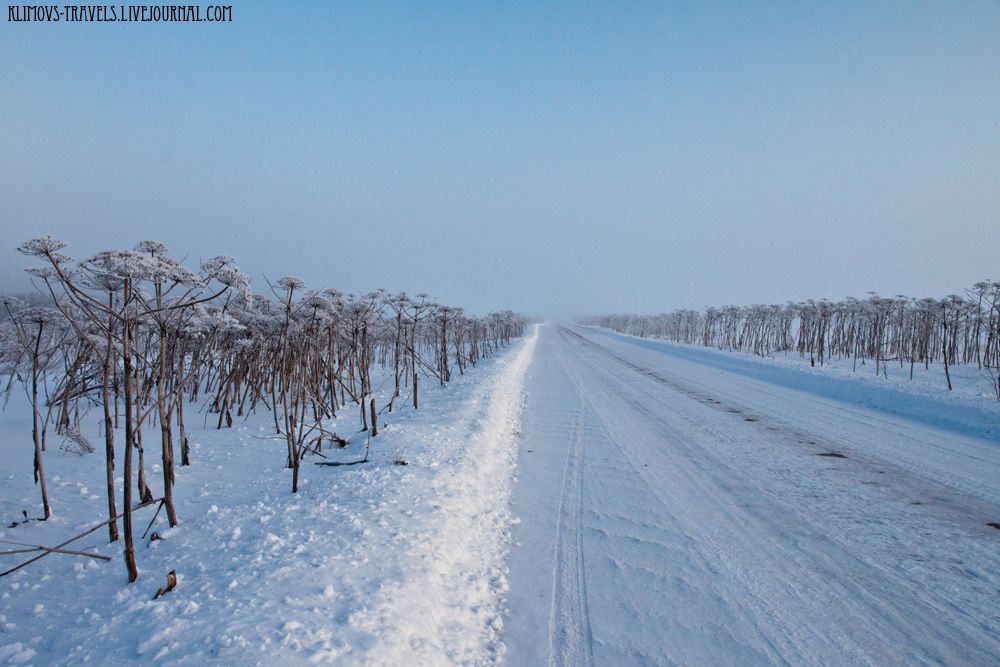 photo 9FrostSmog.jpg