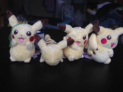 photo IMG_5167.jpg