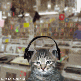 ATT00001.gif