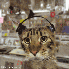 ATT00002.gif