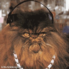 ATT00005.gif
