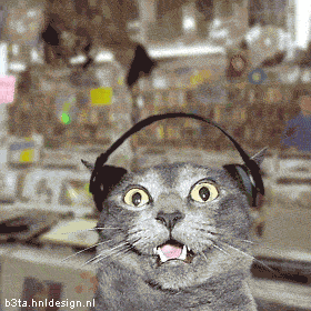 ATT00006.gif