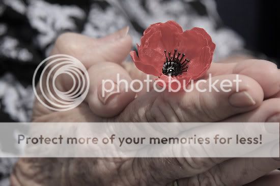 2026437-2-remembrance-day.jpg