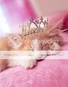 princess_kitty.jpg